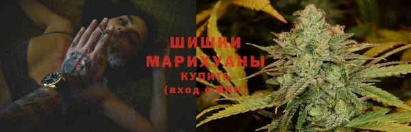 каннабис Белокуриха